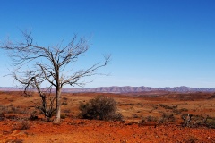 The old red road - Lee-Anne Thomson (Highly Commended - Set Subject A Grade Print - Feb 2026)