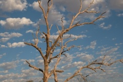 Untitled - Tim Hunt (Best - Set Subject B Grade Print - Feb 2026)