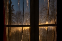 Gossamer-Light-Kaye-Linsdell-Commended-Open-A-Grade-PDI-Mar-2026