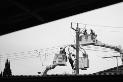 Men-at-Work-Don-Knight-Best-Set-Subject-B-Grade-PDI-Mar-2026