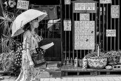 Promenade-Yanaka-Ginza-Lesley-Bretherton-Highly-Commended-Set-Subject-A-Grade-PDI-Mar-2026