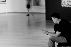 The-Gallery-James-Mexias-Commended-Open-A-Grade-PDI-Mar-2026