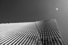 Twilight-Malcolm-Whitling-Commended-Open-B-Grade-PDI-Mar-2026