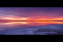 Tyrrell-Sunrise-Peter-King-Commended-Open-A-Grade-PDI-Mar-2026