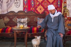 Mans-best-friend-Kaye-Linsdell-Best-Open-A-Grade-Print-Mar-2026