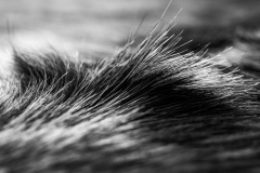 Untitled-Sally-Paterson-Highly-Commended-Set-Subject-A-Grade-Print-Mar-2026