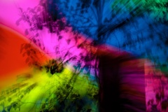 Winter-colour-forest-Matthew-Leane-Commended-Open-B-Grade-Print-Mar-2026