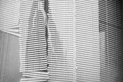 Torre-Glories-view-Kaye-Linsdell-Highly-Commended-Open-A-Grade-PDI-May-2026