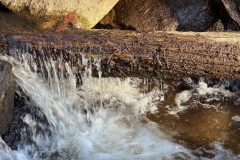 Stream-at-wood-log-Matthew-Leane-Commended-Set-Subject-B-Grade-Print-May-2026