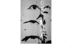 I Spy - Robyn Faris (Commended - Open B Grade - 22 Apr 2021 PDI)