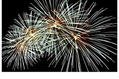 Happy New Year - Lee-Anne Thomson (Commended - Set Subj B Grade - 22 Jul 2021 PDI)