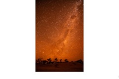Stanley in the Milky Way - Oliver Altermatt (Commended - Set Subj B Grade - 22 Jul 2021 PDI)