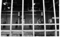 Connected behind bars - Oliver Altermatt (Highly Commended - Open B Grade - 22 Oct 2020 PDI)