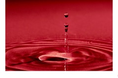 In the eye of the storm - Matt Smith (Highly Commended - Set Subj B Grade - 22 Oct 2020 PDI)