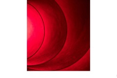 Red paper - Annette Donald (Highly Commended - Open A Grade - 22 Oct 2020 PDI)