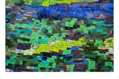 Tiles Underwater - Robyn Faris (Highly Commended - Set Subj B Grade - 22 Oct 2020 PDI)