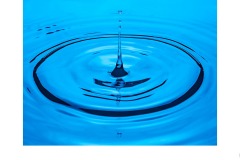 Water Drop - Doug Jackson (Commended - Set Subj B Grade - 22 Oct 2020 PDI)