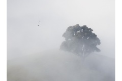 22 Sep 2022: PDI Award Winners: Judge – Robin Moon; Set Subject - Minimalism