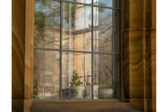 Studious-window-Kaye-Linsdell-Commended-Open-B-Grade-PDI-22-Sep-2022