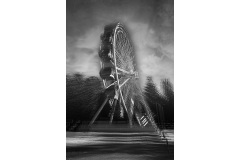 The-Free-Wheel-Ralph-Domino-Commended-Open-A-Grade-PDI-22-Sep-2022