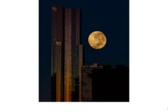 Super Pink - Bob Warfield (Highly Commended - Open B Grade - 23 Feb 2020 PDI)