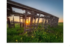 Nature reclaims - Daryl Groves (Commended - Open A Grade - 23 Feb 2020 PDI)