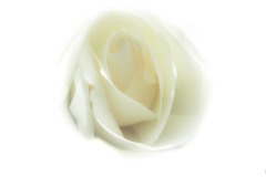 Softly Softly - Doug Jackson (Commended - Set Subj B Grade - 23 Feb 2020 PDI)