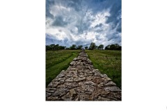 Along the wall - David Sherwood (Commended - Open B Grade - 23 Jul 2020 PDI)