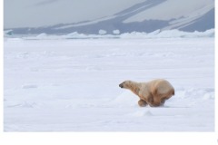 Chase down - Gary Richardson (Highly Commended - Open A Grade - 23 Jul 2020 PDI)