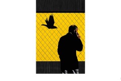 Dive Bomber - Ralph Domino (Highly Commended - Open B Grade - 23 Jul 2020 PDI)