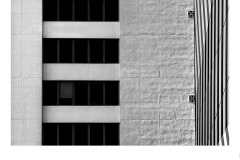 Figure and Ground - Elizabeth Jackson (Commended - Open B Grade - 23 Jul 2020 PDI)