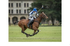 'Flying' - Graeme Diggle (Commended - Open A Grade - 23 Jul 2020 PDI)