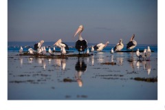 Ricketts Point - John Parkinson (Commended - Open A Grade - 23 Jul 2020 PDI)