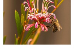 Working Hard - John Parkinson (Commended - Set Subj A Grade - 23 Jul 2020 PDI)