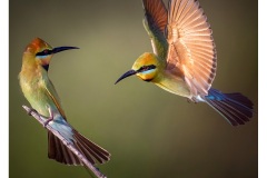 23 Jun 2022: PDI Award Winners: Judge – Robert Groom; Set Subject - Moving Water