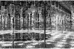 Bulbs-Paul-Fraser-Commended-Set-Subject-A-Grade-PDI-23-Jun-2022
