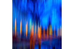 Magic-staircase-Alan-Donald-Highly-Commended-Open-A-Grade-PDI-23-Jun-2022