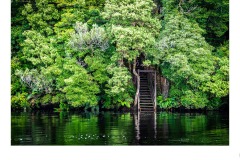 Stairs to Nowhere - Russell Turner (Commended - Set Subj B Grade - 23 Sep 2021 PDI)