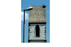 Stork - Andrew Greig (Commended - Open B Grade - 23 Sep 2021 PDI)