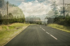 On-the-road-to-Te-Aroha-John-Godfrey-Commended-Open-A-Grade-24-Feb-2022