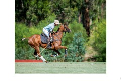 Polo in SA - Graeme Diggle (Commended - Open A Grade - 24 Jun 2021 PDI)