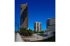 The Tall One - Ian Bock (Commended - Set Subj A Grade - 24 Jun 2021 PDI)