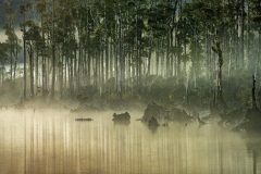Morning-Mist-Lake-Wahapo-Lindsay-Muirhead-Highly-Commended-Open-B-Grade-24-Mar-2022