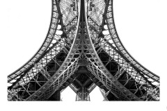 From under - David Sherwood (Best - Open B Grade - 24 Sep 2020 PDI)