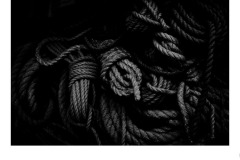 Old Rope - Jim O'Donnell (Commended - Set Subj A Grade - 24 Sep 2020 PDI)