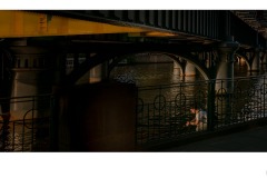 Under the Bridge - Doug Jackson (Commended - Open B Grade - 24 Sep 2020 PDI)
