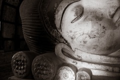 Bagan-Buddha-Carrie-Simms-Commended-Open-B-Grade-PDI-25-Aug-2022