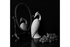 Look-at-Me-Des-Crossley-Commended-Open-B-Grade-PDI-25-Aug-2022