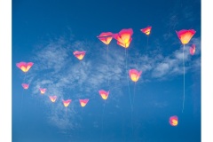 Poppies-and-clouds-Alan-Donald-Commended-Open-A-Grade-PDI-25-Aug-2022