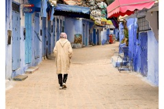 Walkin-Along-Robyn-Faris-Commended-Open-B-Grade-PDI-25-Aug-2022